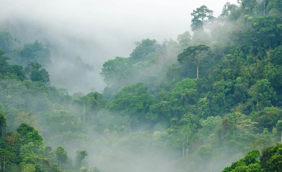 August in Thailand is deep in the rainy season