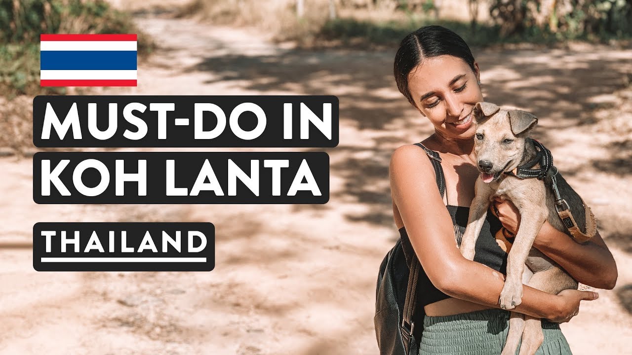 PUPPY ANIMAL SHELTER 🐶 | Lanta Animal Welfare | Koh Lanta Thailand Vlog -  YouTube