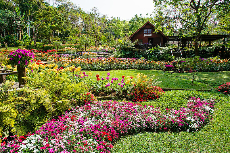 doi-tung-mae-fah-luang-garden-2