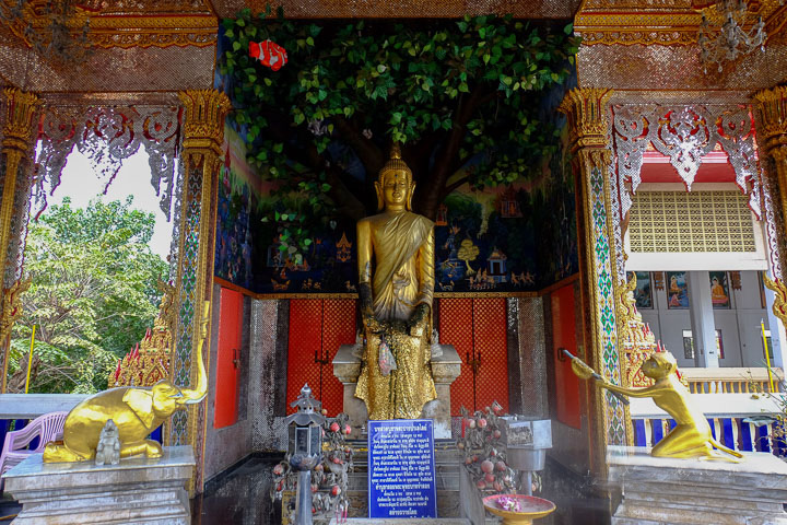 Wat-Nang-Sao-Highlight